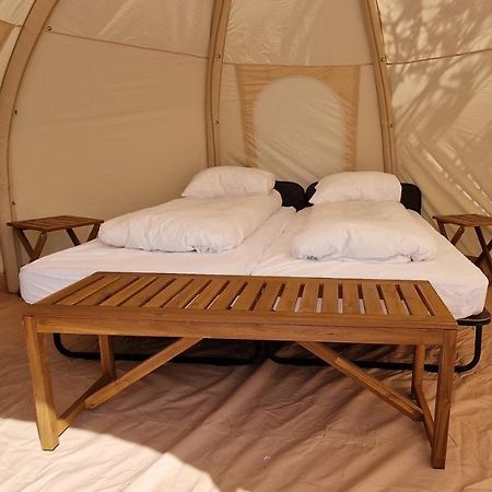 Haukafell Camping - Tents For Rents Höfn Екстериор снимка